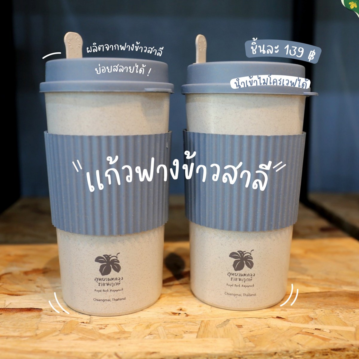 แก้วฟางข้าวสาลี